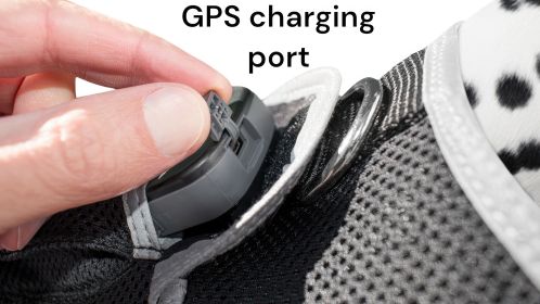 Dog Collar Mount Tracker w/ Wireless Realtime Pet GPS System Phone App Size:S